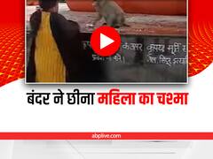Shocking: मंदिर में महिला और बंदर के बीच हुई जबरदस्त खींचातानी, वीडियो वायरल