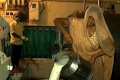 Mehsana: પશુપાલકોને દૂધસાગર ડેરીએ આપી સૌથી મોટી ભેટ, જુઓ આ વીડિયો