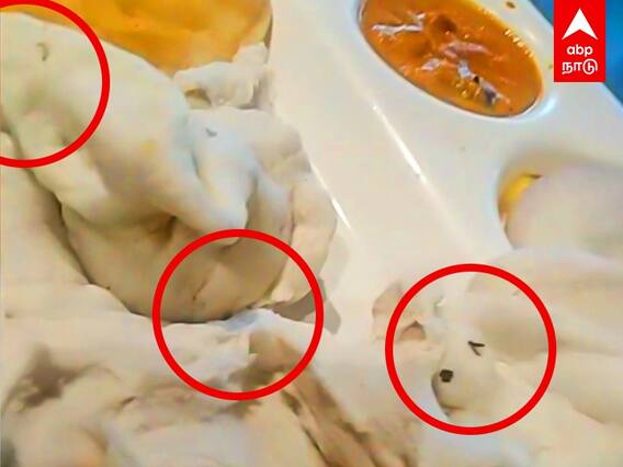 VR Mall Chennai : பூரியில் நெளிந்த”புழு” சென்னை VR மாலில் அதிர்ச்சி!