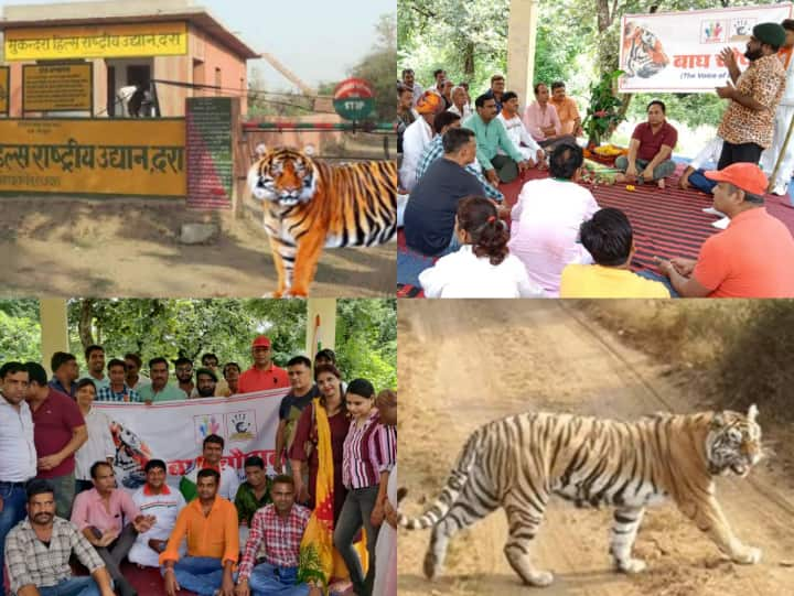 पर्यावरणप्रेमियों ने कहा कि प्रकृति एवं पर्यावरण संरक्षण, पर्यटन के विकास और स्थानीय लोगों के लिए रोजगार के नए अवसर पैदा करने के लिए मुकुंदरा हिल्स टाइगर रिजर्व में बाघों को आबाद करने की आवश्यकता है.