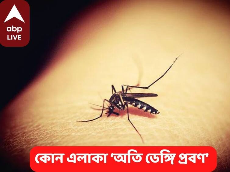 13 wards of Kolkata have been identified as  dengue high risk zone, Know in details Dengue : কলকাতার ১৩টি ওয়ার্ডকে ‘অতি ডেঙ্গি প্রবণ’ বলে চিহ্নিত করা হয়েছে, আপনার ওয়ার্ড আছে এর মধ্যে ?