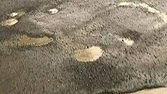 Bhiwandi : भिवंडी-वाडा मार्ग बनला मृत्यूचा सापळा, खड्याने घेतले सहा बळी; सात वर्षात 400 हून अधिक जणांचा अपघाती बळी