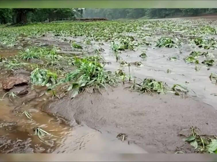 Maharashtra assembly session no financial provision in the supplementary demand for heavy rain affected farmers Maharashtra Assembly Session : अतिवृष्टीग्रस्त शेतकरी वाऱ्यावर? मदतीच्या घोषणेनंतरही पुरवणी मागणीत तरतूद नाही