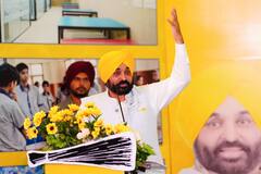 11 ਤੋਂ 18 ਸਤੰਬਰ ਤੱਕ ਵਿਦੇਸ਼ ਯਾਤਰਾ 'ਤੇ ਜਾਣਗੇ ਸੀਐਮ ਭਗਵੰਤ ਮਾਨ, ਕਰਨਗੇ ਜਰਮਨੀ ਦਾ ਦੌਰਾ