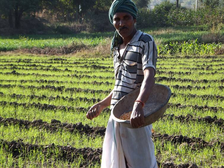 Modi Cabinet Announced Interest Subvention Scheme For Farmers Modi Cabinet Decisions: ખેડૂતો માટે કેન્દ્રની મોદી સરકારે કરી મોટી જાહેરાત, હવે ખેડૂતોને થશે આ ફાયદો....