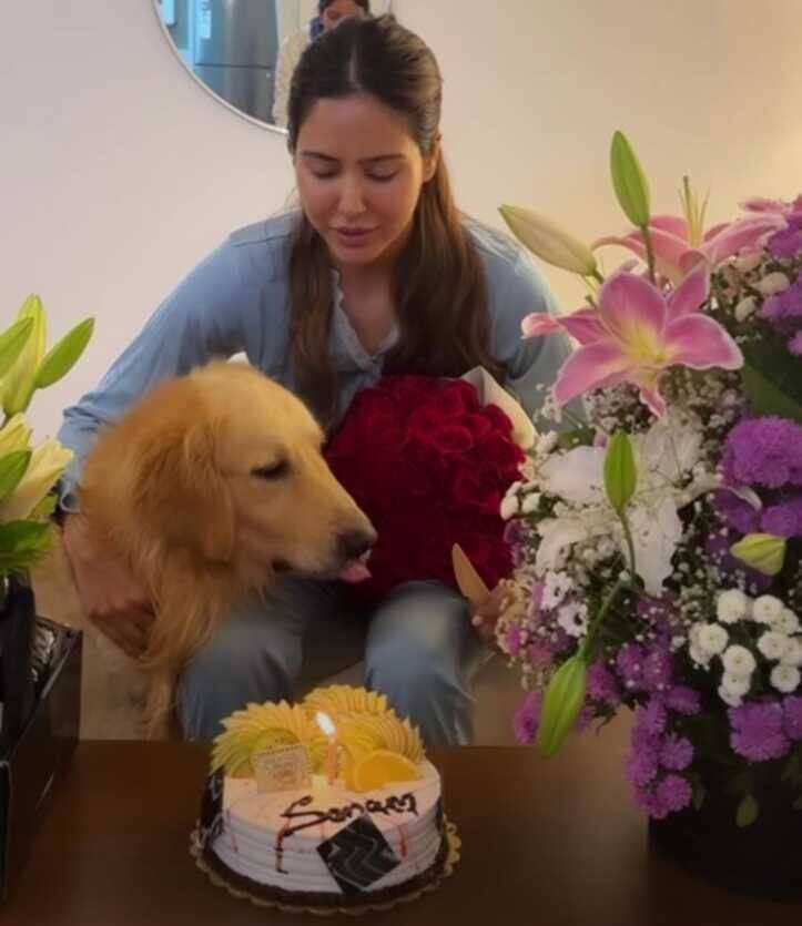 sonam bajwa celebrates her 33 rd birthday with her doggie simba and her bestie shares video on social media Sonam Bajwa: ਸੋਨਮ ਬਾਜਵਾ ਨੇ ਆਪਣੇ ਡੌਗੀ ਸਿੰਬਾ ਨਾਲ ਮਨਾਇਆ ਜਨਮਦਿਨ. ਸ਼ੇਅਰ ਕੀਤੀ ਵੀਡੀਓ