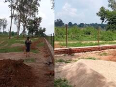 Janmashtami 2022: जन्माष्टमी पर 121 नगरीय निकायों में लगाए जाएंगे पौधे, सीएम भूपेश बघेल ने वन विभाग को दिए ये निर्देश