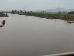 Kolhapur Rain Update : कोल्हापूर जिल्ह्यात पावसाची पूर्णपणे उघडीप, पंचगंगेचा आठ दिवसांनी पात्राकडे प्रवास 