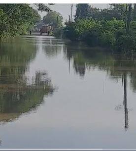 भंडारा जिल्ह्यातील शाळांना आज सुट्टी