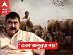 CBI On Cattle Smuggling Case : ‘শুধু অনুব্রত নয়, টাকার ভাগ পেয়েছেন বীরভূম জেলার একাধিক প্রভাবশালী’