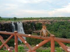 In Pics: बूंदी में बारिश के बाद और खूबसूरत हुआ कुदरत का नजारा, ये जगहें जीत लेंगी आपका दिल, देखें तस्वीरें