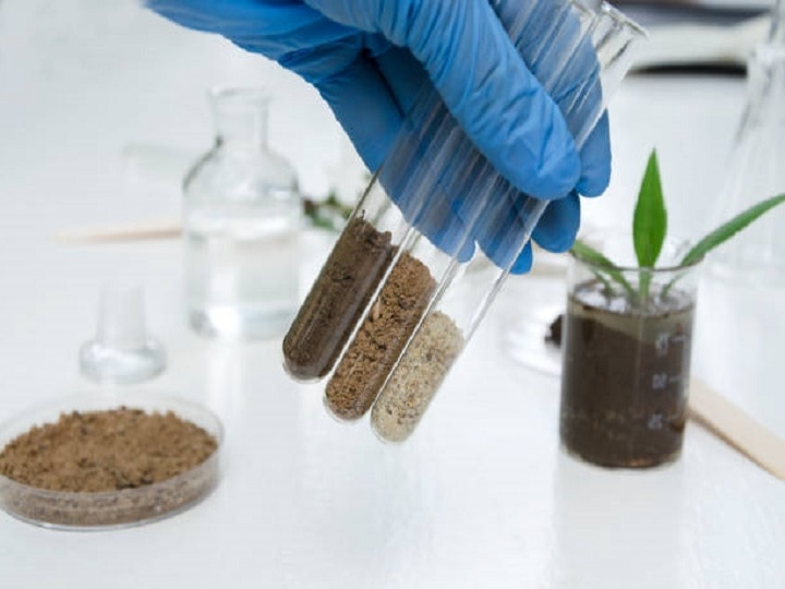 Soil Test: आखिर क्यों जरूरी है मिट्टी की जांच, सैंपल लेते समय इन बातों का रखें ध्यान