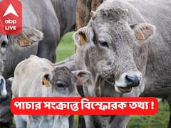 Anubrata Mondal : 'পুলিশ সব টাকা খেত' ইলামবাজারের গরু হাটে যেতেই বেরিয়ে এল পাচার সংক্রান্ত বিস্ফোরক তথ্য !