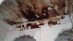 Jodhpur News: शिक्षा के नाम पर बच्चों की जिंदगी से खिलवाड़, हैरान कर देंगी तस्वीरें