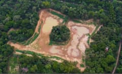 Roshanara Lake Rejuvenation: শাহজাহান-কন্যার তৈরি, বাঁচিয়ে তোলা হচ্ছে দিল্লির রোশনারা ঝিল