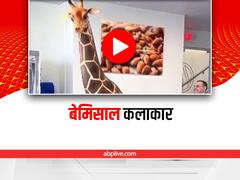 आर्टिस्ट ने चॉकलेट से बनाया Giraffe, यकीन ना हो तो वीडियो देख लो