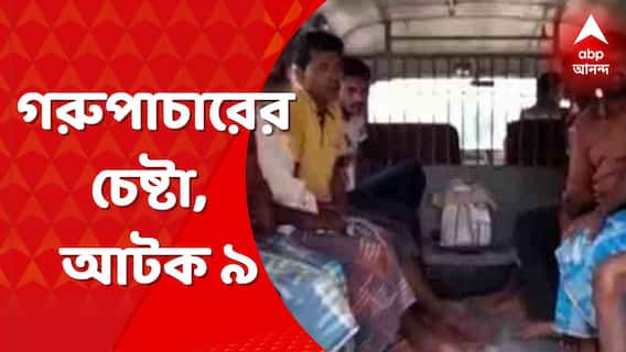 Cow Smuggling: পূর্ব বর্ধমানের কেতুগ্রাম দিয়ে গরুপাচারের চেষ্টা, গ্রেফতার ৯ । Bangla News