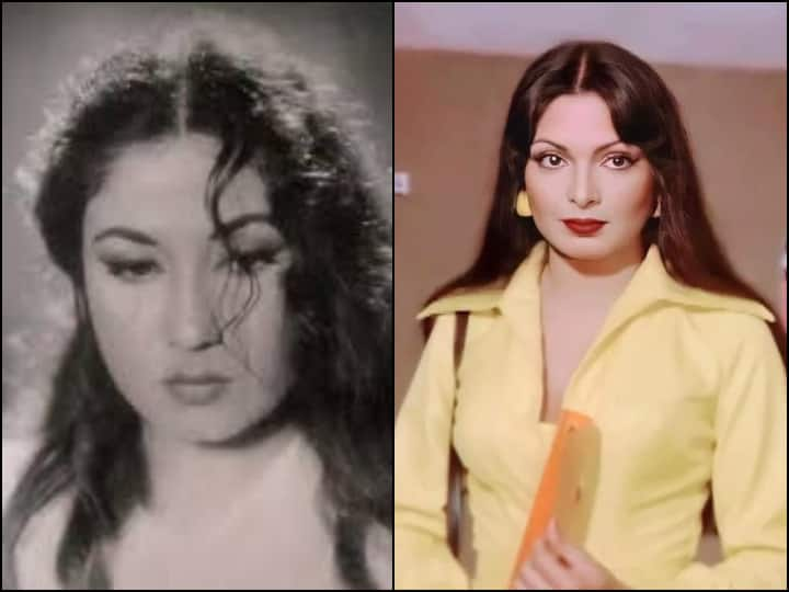 Bollywood Famous Stars Meena Kumari AK Hungle Parveen Boby and Bharat Bhooshan Last Days of Life कोई चॉल में रहने को हुआ मजबूर तो किसी के पास इलाज कर के नहीं थे पैसे, इन सितारों का ऐसा गुजरा था आखिरी वक्त