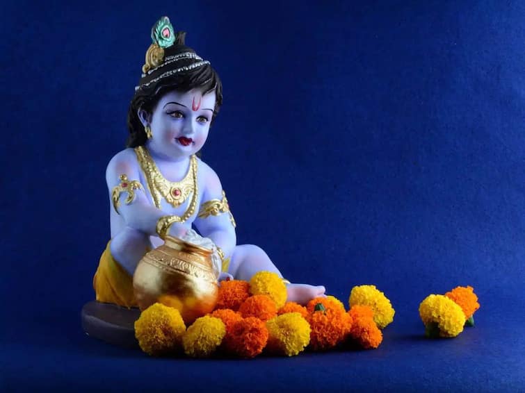  krishna janmashtami 2022 date vastu tips mor pankh benefits  Janmashtami 2022 : जन्माष्टमीच्या दिवशी घरात मोराची पिसे आणा, सर्व वास्तुदोष दूर होतील 