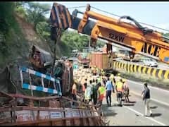 தருமபுாி அருகே லாரிகள் மோதல்; 5 மாடுகள், ஒருவர் உயிரிழந்த சோகம்