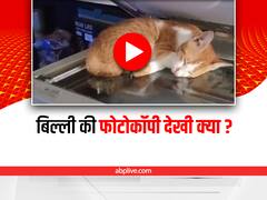 Viral Video: शख्स ने निकाली पालतू बिल्ली की फोटोकॉपी, मशीन से बाहर आया मजेदार प्रिंट