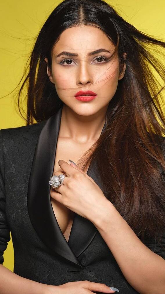 Shehnaaz Gill है लोगों से परेशान , कहां- कुछ भी बोलना बंद करो , मैं रिलेशनशिप में नहीं हूं| ENT LIVE