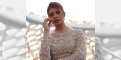 Jacqueline Fernandez: 'কোনও অফিসিয়াল খবর নেই', বিবৃতিতে দাবি আর্থিক তছরুপে অভিযুক্ত জ্যাকলিন ফার্নান্ডেজের আইনজীবীর