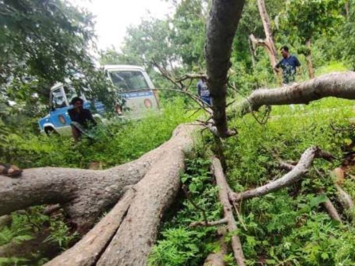 Korba Chhattisgarh Blood stained dead body of young man found in forest police reached ANN Korba News: जंगल के रास्ते में बाइक का पेट्रोल हुआ खत्म, पीछे चल रहा दोस्त अचानक गायब, अब मिली सिर कटी लाश