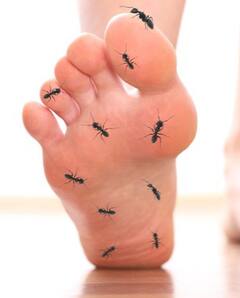 Diabetes Symptoms in Foot : ਪੈਰਾਂ 'ਚ ਵੀ ਦੇਖੇ ਜਾ ਸਕਦੇ ਸ਼ੂਗਰ ਦੇ ਲੱਛਣ, ਸਮੇਂ ਸਿਰ ਕਰੋ ਪਛਾਣ ਨਹੀਂ ਤਾਂ ਪੈ ਸਕਦੈ ਪਛਤਾਉਣਾ