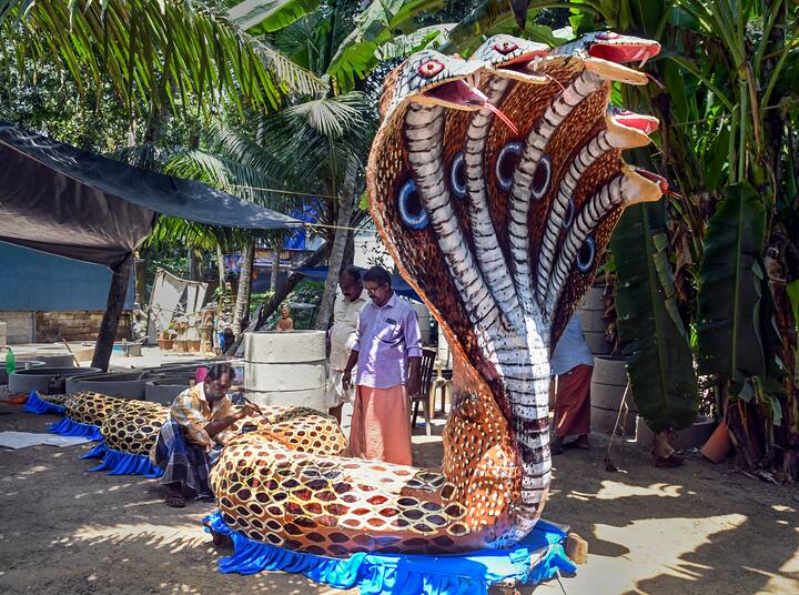 An artist paints a larger-than-life size model of mythological 'Kaliya Naag' on the occasion of 'Krishna Janmashtami', in Thiruvananthapuram. (Image: PTI)