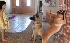 Viral Video: ਕੁੱਤੇ ਦੀ ਬੱਚੀ ਨਾਲ ਲੁਕਣ-ਮੀਟੀ ਖੇਡਣ ਦੀ ਵੀਡੀਓ ਵਾਇਰਲ, ਕੀ ਤੁਸੀਂ ਦੇਖਿਆ?