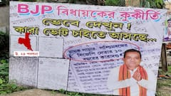 'বিজেপি বিধায়কের কুকীর্তি'র ফ্লেক্স বনগাঁয়, অভিযোগের আঙুল তৃণমূলের দিকে
