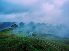 Kolhapur : कोल्हापुरातील पाटणे जंगलातील नयनरम्य फोटो