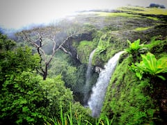 Kolhapur : कोल्हापुरातील पाटणे जंगलातील नयनरम्य फोटो