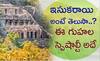 Undavalli Caves:  శతాబ్దాల చరిత్ర ఉన్న ఉండవల్లి గుహలు ఇప్పుడు ఎలా ఉన్నాయి..? | DNN | ABP Desam