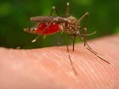 असम में एक महीने में जापानी इंसेफेलाइटिस के कारण 77 लोगों की मौत, जानिए इसके लक्षण और बचाव