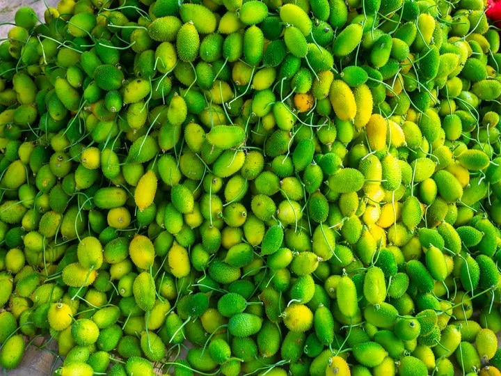 Spiny Gourd Farming: बीहड़ के वीरान इलाकों में हरियाली फैला रही है ये सब्जी, खेती के लिये ये खास तरीका अपना रहे हैं किसान