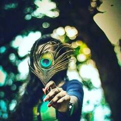 Janmashtami 2022:જન્માષ્ટમીના અવસરે ઘરે લાવો મોરપિચ્છ, મોરપંખ રાખવાના આ છે અદભૂત ફાયદા