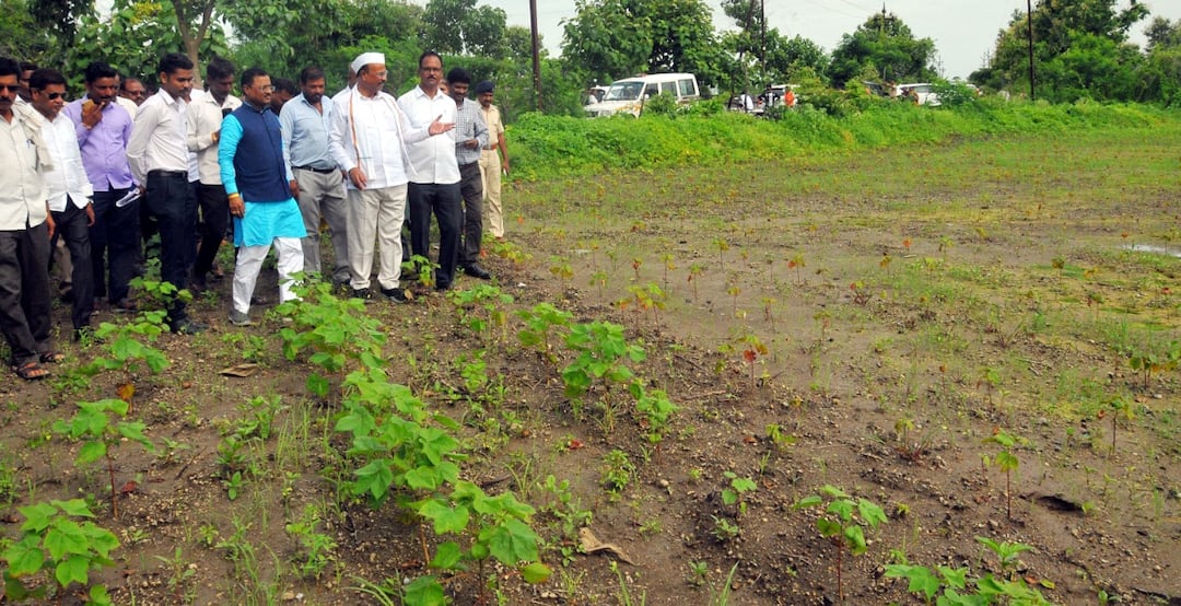 Understand the sentiments of the farmers instructions to the officials of the Agriculture Minister दुष्काळ पीडीत शेतकऱ्याच्या भावना समजून त्यांचे मनोबल वाढवा, कृषीमंत्री अब्दुल सत्तार यांच्या अधिकाऱ्यांना सूचना