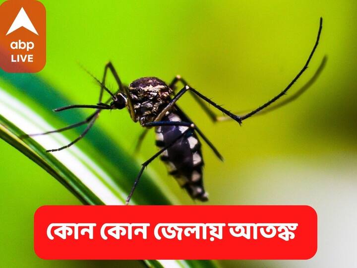 ডেঙ্গি সংত্রমণের তথ্য তুলে ধরে জেলাগুলিকে সতর্ক করল নবান্ন।