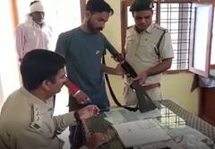 मध्य प्रदेश: लकड़ी तस्करों के साथ वनकर्मियों की मुठभेड़, आदिवासी की मौत, आमने-सामने आए राज्य सरकार और वन विभाग