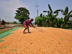 Retail Inflation For Farm, Rural Workers Rise To 6.6 Per Cent, 6.82 Per Cent In July