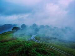 Kolhapur : कोल्हापुरातील पाटणे जंगलातील नयनरम्य फोटो