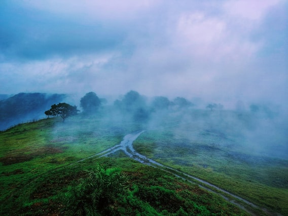 Kolhapur : कोल्हापुरातील पाटणे जंगलातील नयनरम्य फोटो