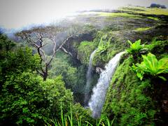 Kolhapur : कोल्हापुरातील पाटणे जंगलातील नयनरम्य फोटो