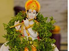 Janmashtami 2022 Totke: जन्माष्टमी पर करें लाल गुलाब का ये टोटका, मनचाहा साथी पाने की इच्छा होगी पूरी