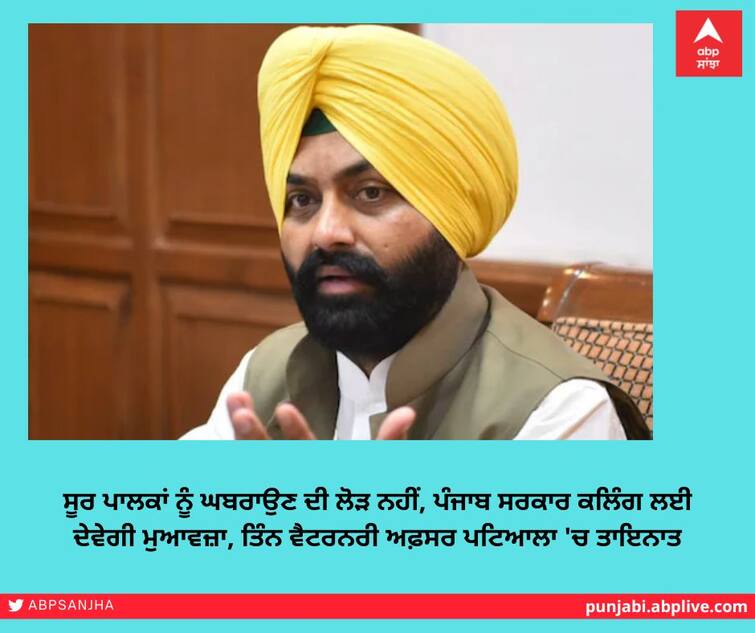 Pig farmers need not panic, Punjab government will give compensation for culling, three veterinary officers posted in Patiala ਸੂਰ ਪਾਲਕਾਂ ਨੂੰ ਘਬਰਾਉਣ ਦੀ ਲੋੜ ਨਹੀਂ, ਪੰਜਾਬ ਸਰਕਾਰ ਕਲਿੰਗ ਲਈ ਦੇਵੇਗੀ ਮੁਆਵਜ਼ਾ