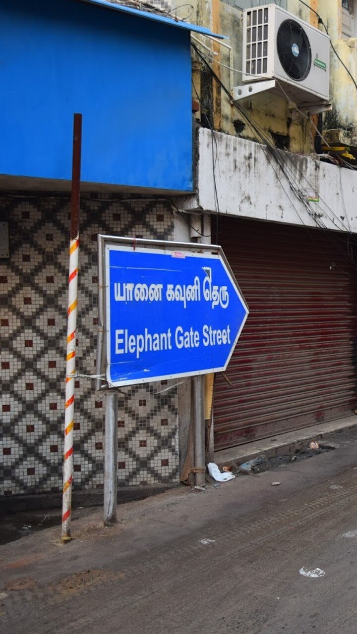 எலிபேண்ட் கேட்
