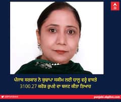 ਪੰਜਾਬ ਸਰਕਾਰ ਨੇ ਬੁਢਾਪਾ ਸਕੀਮ ਲਈ ਚਾਲੂ ਵਰ੍ਹੇ ਵਾਸਤੇ 3100.27 ਕਰੋੜ ਰੁਪਏ ਦਾ ਬਜਟ ਕੀਤਾ ਤਿਆਰ
