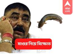 মাগুর মাছ নিয়ে অনুব্রতকে কটাক্ষ, গরুচোর বলে আসানসোলে বিক্ষোভ